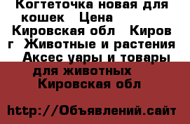 Когтеточка новая для кошек › Цена ­ 1 200 - Кировская обл., Киров г. Животные и растения » Аксесcуары и товары для животных   . Кировская обл.